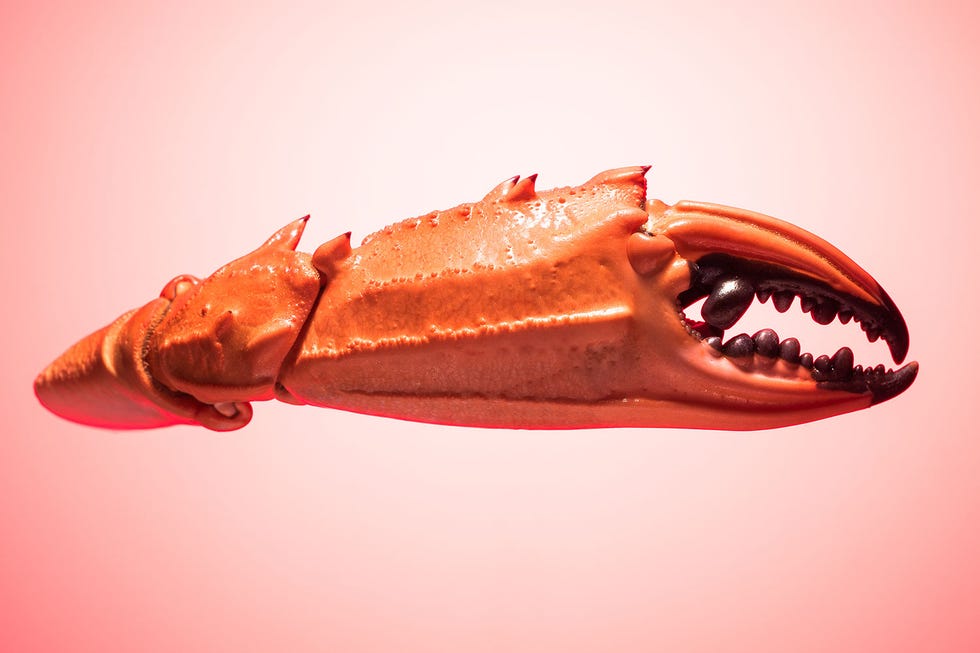 Jaw, Lobster, Mouth, Decapoda, Crustacean, Claw, Seafood, Crab, Flesh, Homarus, 