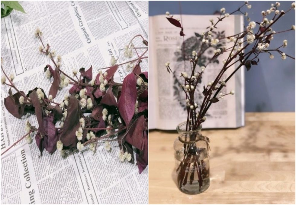 Branch, Twig, Flower, Purple, Lilac, Lavender, Plant, Artificial flower, Centrepiece, Vase, 