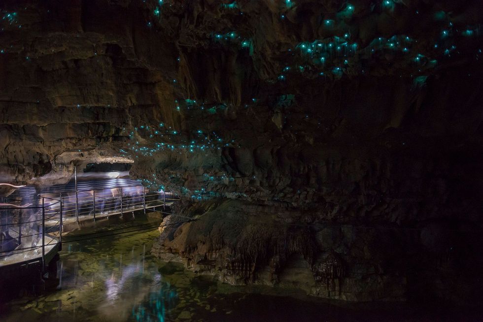 De Waitomo Caves in NieuwZeeland is misschien wel de bekendste bestemming ter wereld waar je van lichtgevende natuur kunt genieten in de vorm van fascinerende zeldzame en ook kwetsbare gloeiwormen Maar om drukte te vermijden kun je ook kiezen voor een van deze acht minder bekende wonderen van bioluminescentie