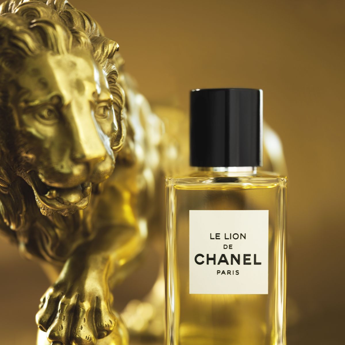 Chanel Le Lion (Les Exclusifs) – Kafkaesque