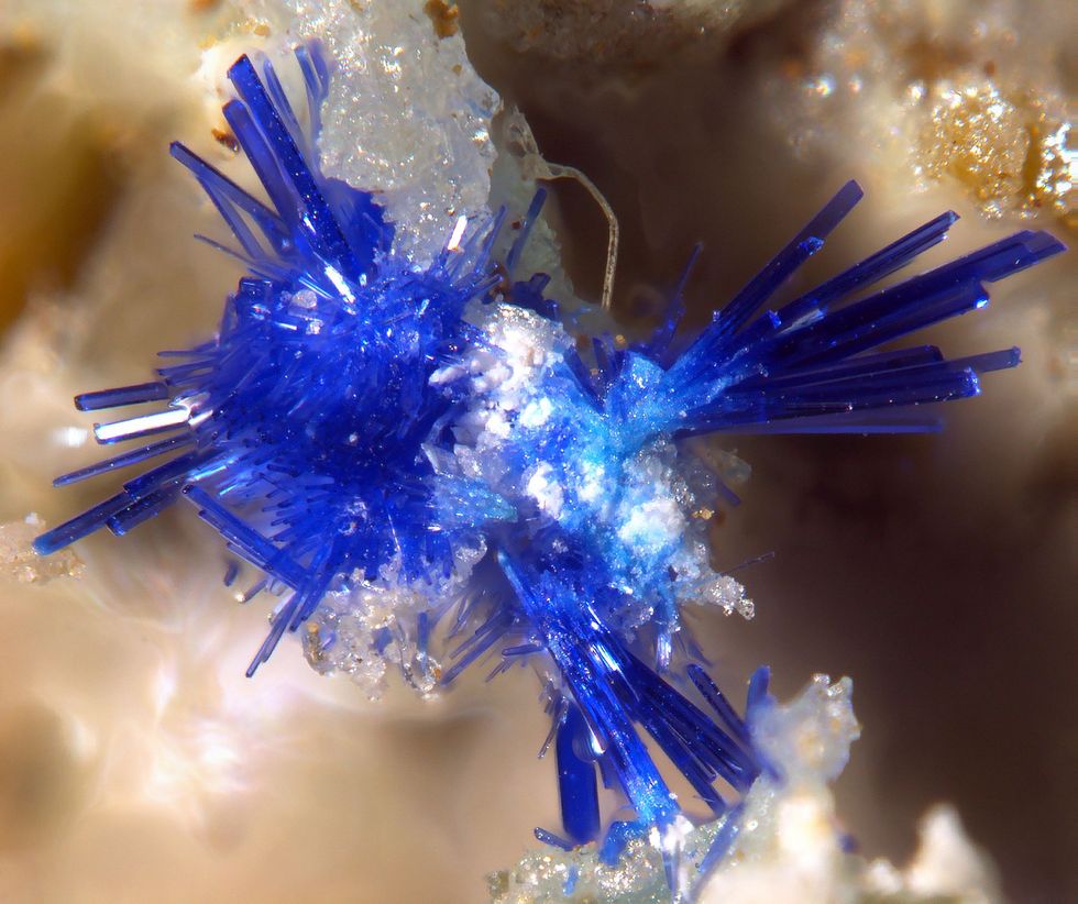 Triazoliet een van de 31 nieuwe koolstofhoudende mineralen die gedurende het DCOonderzoek Carbon Mineral Challenge zijn ontdekt werd aangetroffen in Chili Vermoed wordt dat het mineraal deels ontstaat uit afzettingen van guano vogelmest van aalscholvers
