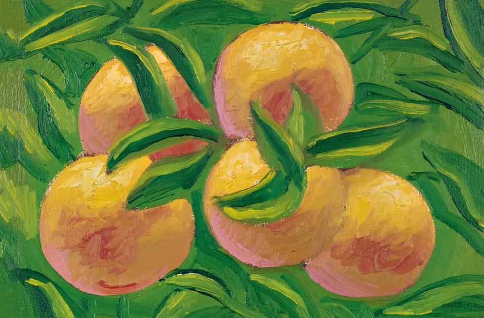 Peach, Yellow, Plant, Watercolor paint, Painting, Still life, Fruit, Flower, Visual arts, Art, 