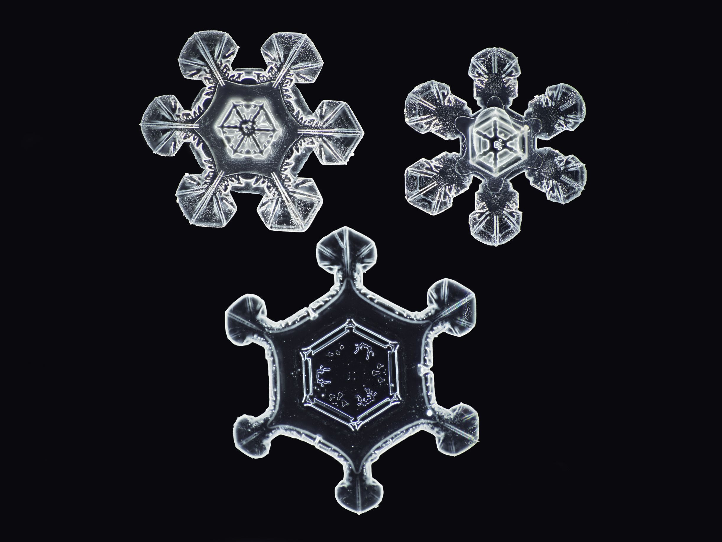 La neve e la geometria: guardiamo i fiocchi di neve al microscopio! 