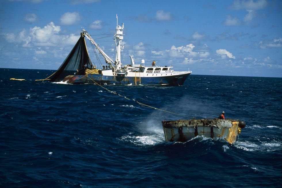 Deze boot vist op tonijn een soort die vooral op volle zee wordt gevangen