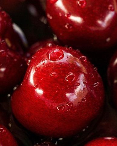Natural foods, Food, Fruit, Cherry, Red, Plant, Cranberry, Local food, Superfood, Produce, 