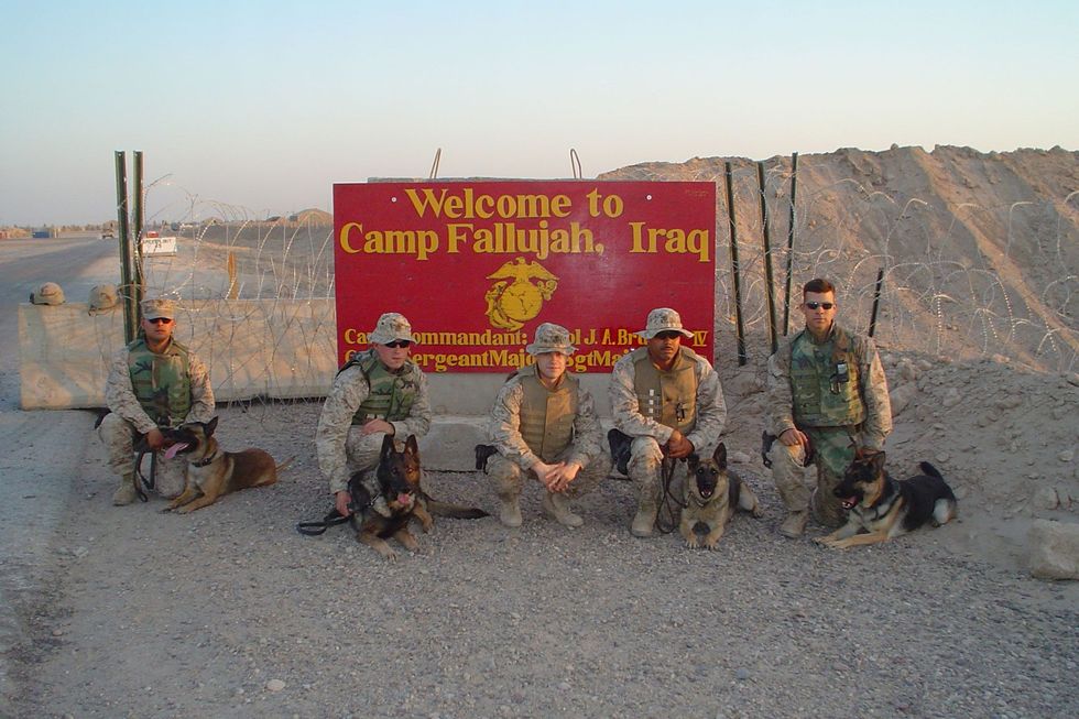 Hondenteams van het Amerikaanse Korps Mariniers poseren in 2004 in Falluja