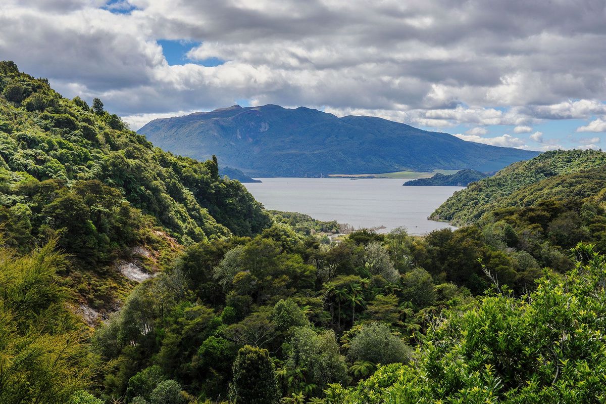 Uitzicht over Lake Rotomhana Waimangu Volcanic Valley Noordereiland NieuwZeeland In 2016 luidde de conclusie van een onderzoek dat de beroemde roze en witte terrassen waren verwoest door een vulkaanuitbarsting in 1886