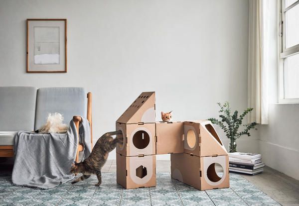 Cat furniture, Room, Cat, Wood, Cardboard, Furniture, Interior design, Table, House, Fawn, 