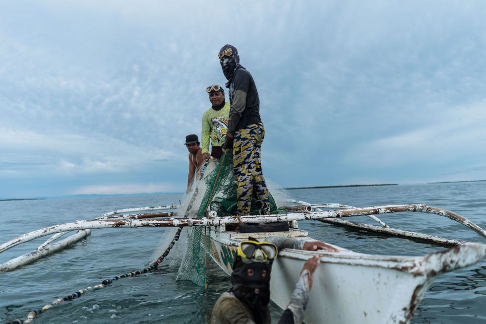 De vissers van het eiland Bohol zien de visvangst in hun kustwateren al jaren afnemen Sommigen zijn overgestapt op het vangen van afgedankte visnetten