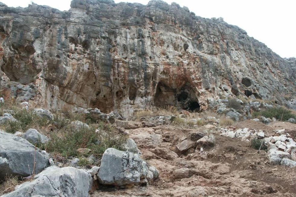 Het fossiel werd gevonden in de Misliyagrot Dit is een van de belangrijke prehistorische grotten die liggen aan de westkant van het Karmelgebergte in Isral