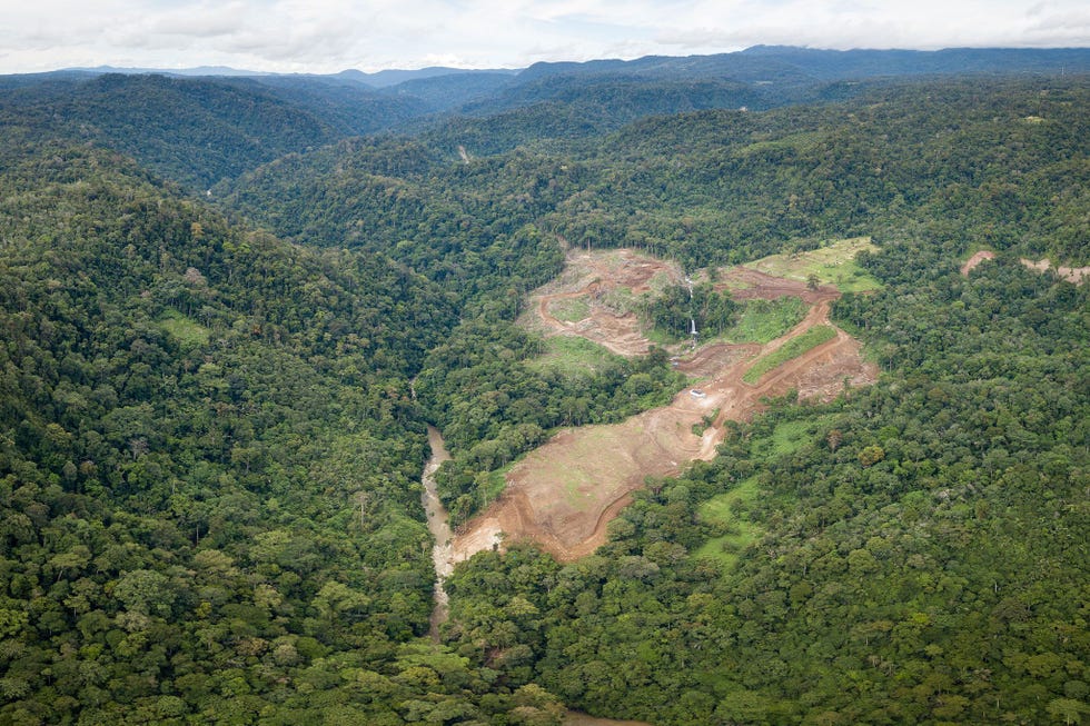 Voor de bouw van het door China bekostigde waterkrachtproject in het hooggelegen woud van Batang Toru op Sumatra wordt inmiddels bos gerooid Volgens experts zal het project s werelds zeldzaamste aap de Tapanuliorangoetan tot op de rand van uitsterven brengen