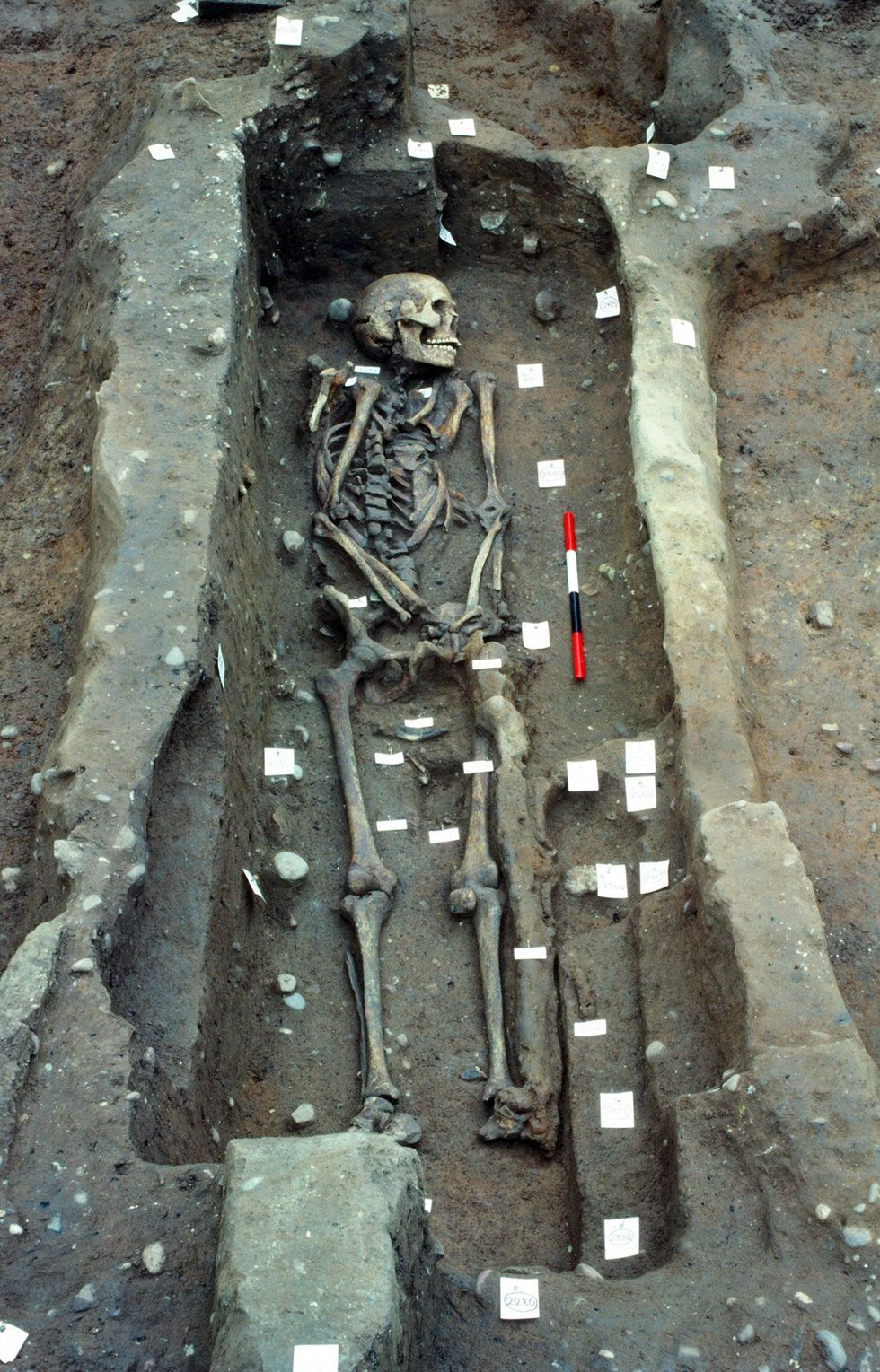 Uit latere opgravingen zoals deze in 1986 bleek dat er bijna driehonderd mensen lagen begraven