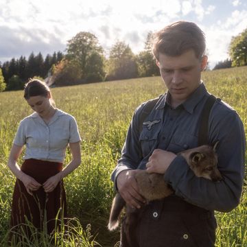 戰火下的小狐狸 歐洲電影 電影推薦 奧地利 動物電影