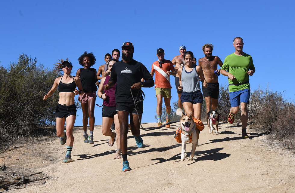 group of runners with dogs