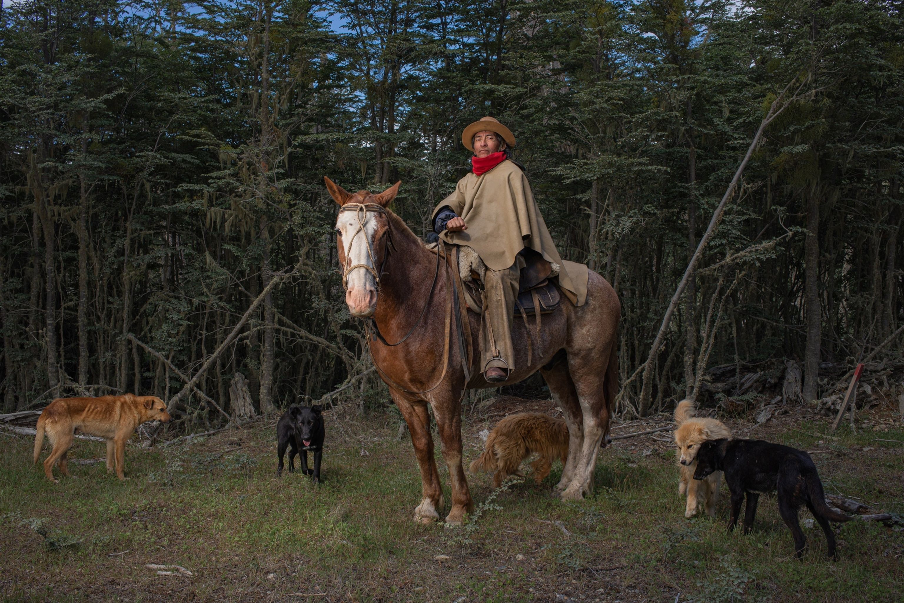 In Patagonië zijn deze cowboys experts in het woeste landschap