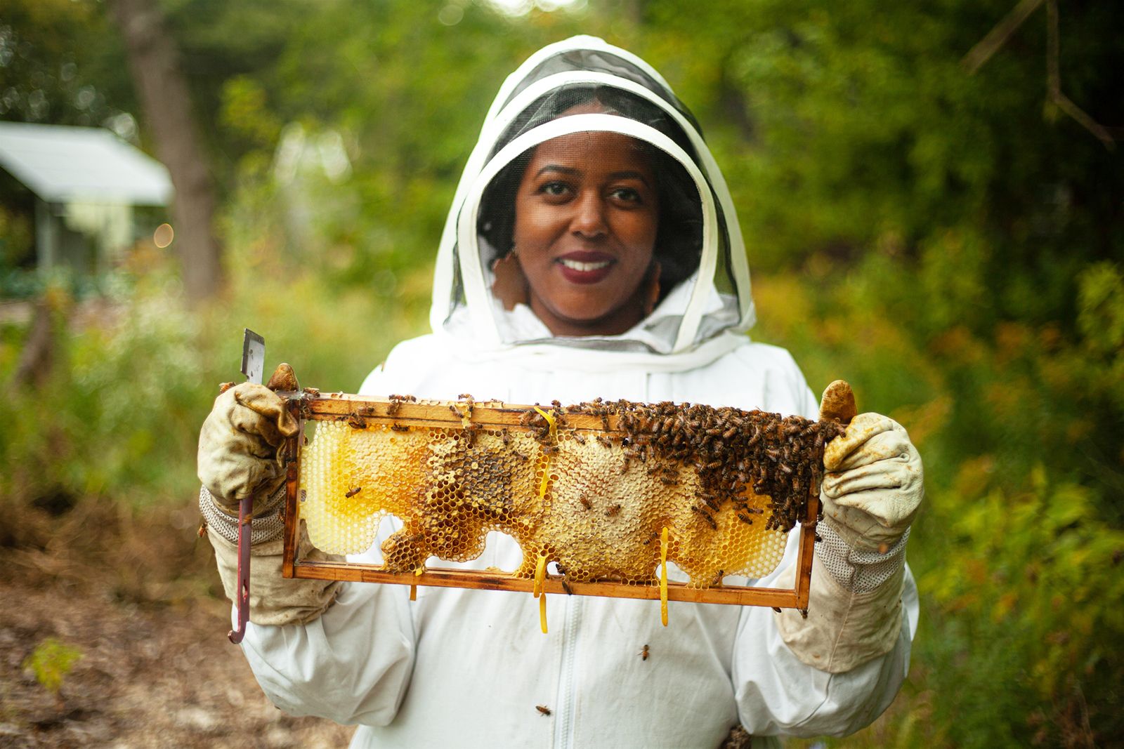 City Beekeeping ~ Honey for Health