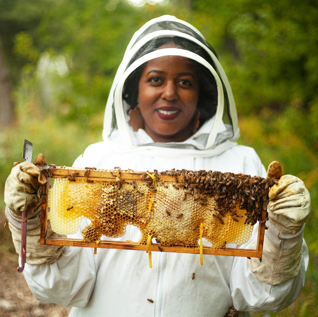 Top 10 Best Gifts for Beekeepers