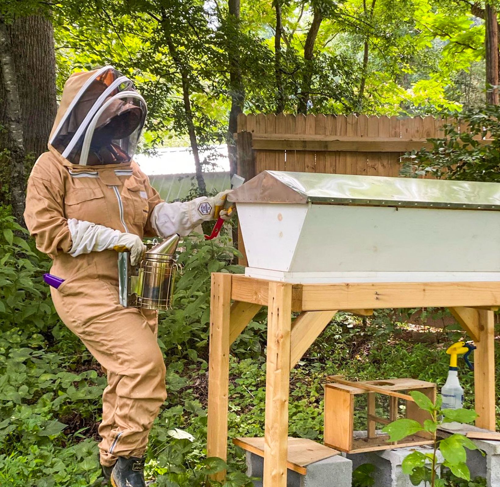 U.S. Top Bar Beekeepers Association