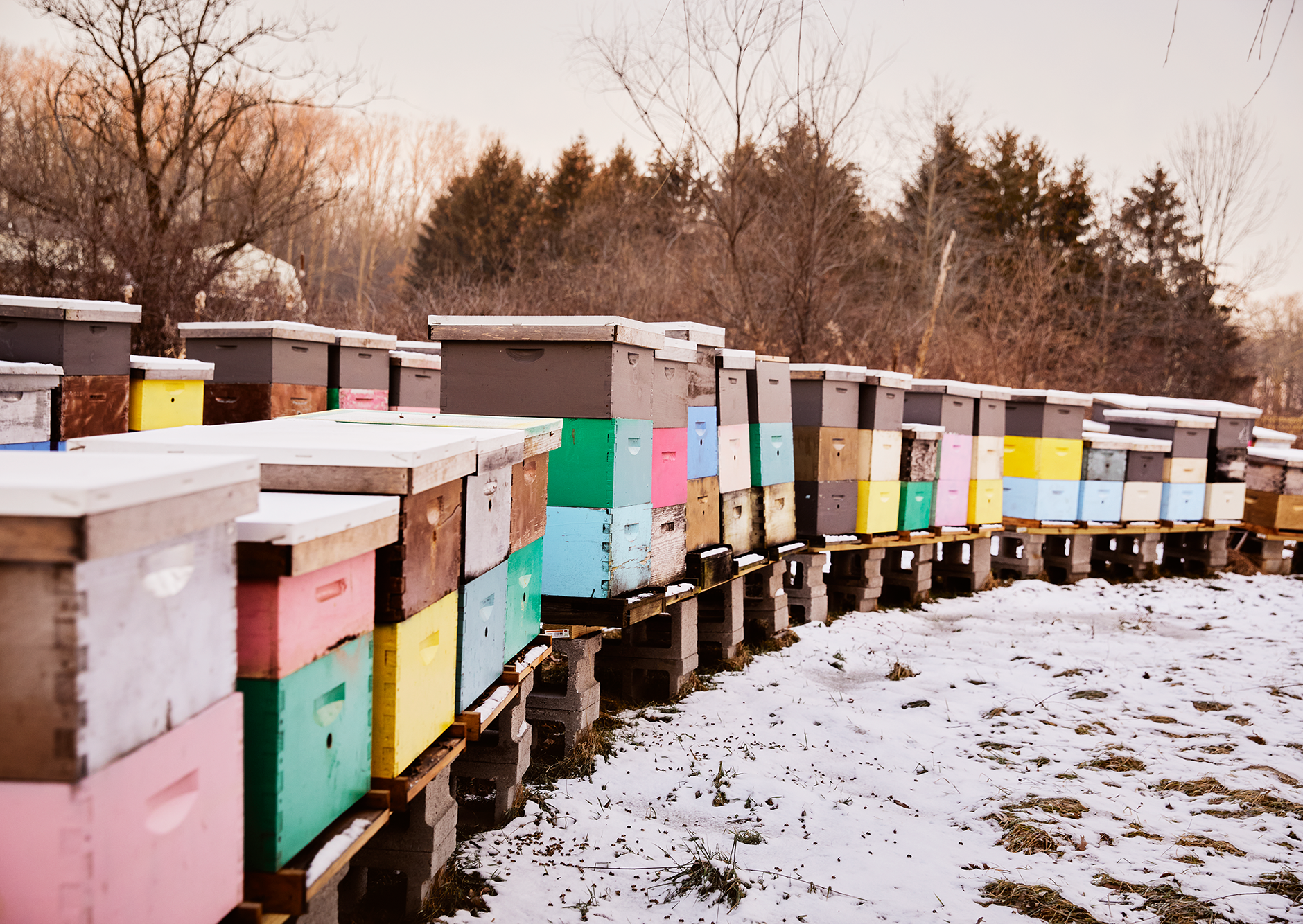 beekeeper boxes in the winter