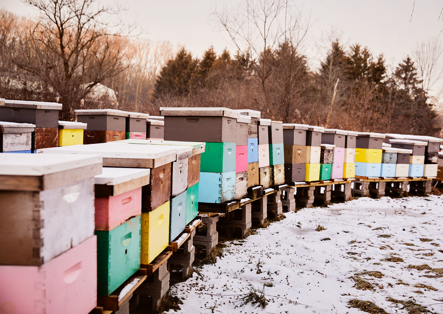 beekeeper boxes in the winter