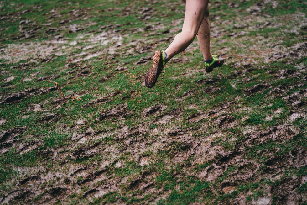 NXN 2019 NXN 2019