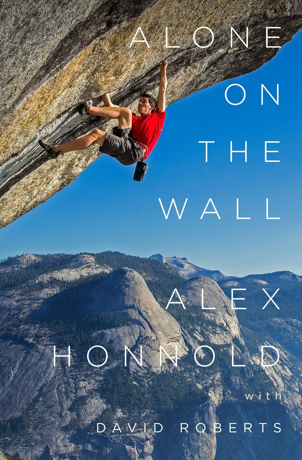 Omslag van Alone On The Wall