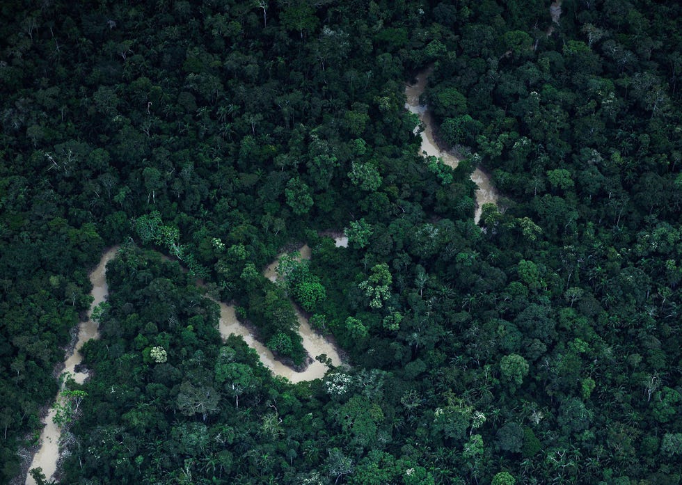 De rivier de Xinane loopt door het indianenreservaat Ashaninka in het noordwesten van de Braziliaanse deelstaat Acre waar talloze inheemse stammen in dorpjes in het afgelegen regenwoud leven waaronder de Huni Kui de Madija en de Ashaninka