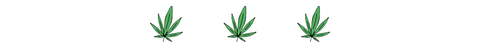 Leaf, Green, Plant, Botany, Grass, Flower, Hemp family, Flowering plant, Weed, Logo, 