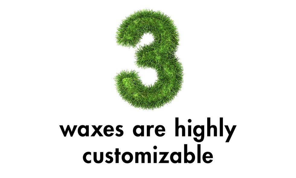 Text, Font, Organism, Grass, Number, Plant, Symbol, Logo, Brand, Graphics,