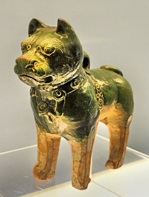Dit gemailleerde beeldje van een hond uit de tijd van de Handynastie 25 v Chr  220 na Chr beeldt waarschijnlijk een chowchow of sharpei uit beide belangrijke werkhonden in het oude China