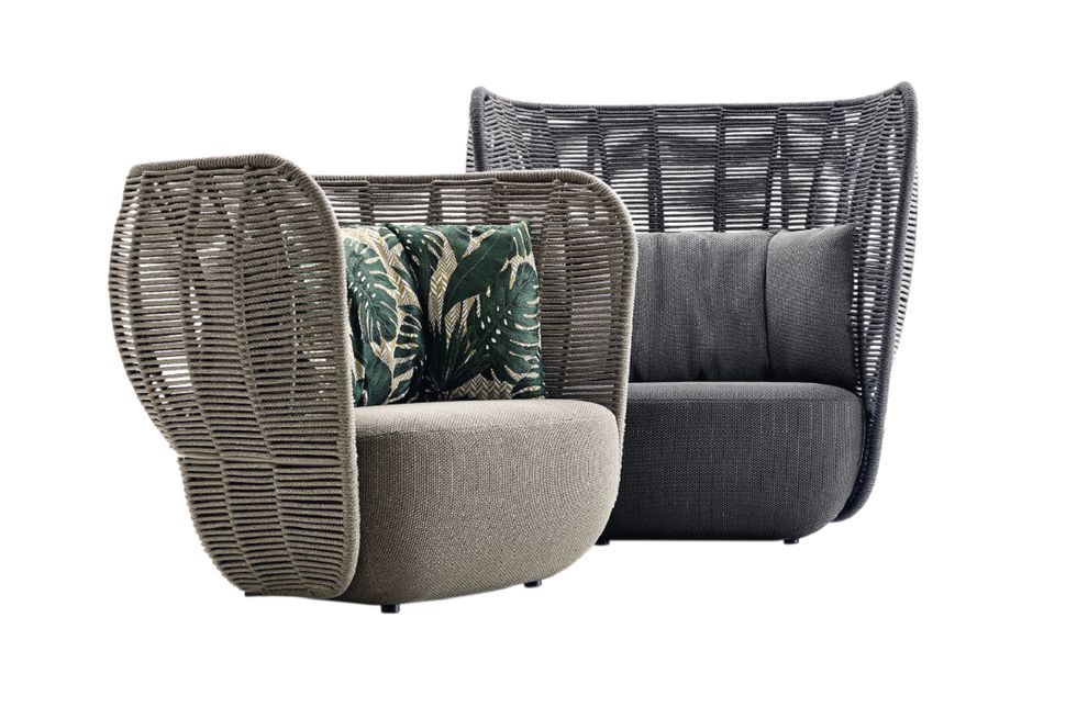 Furniture, Chair, Club chair, Cactus, Recliner, Plant, Wicker, 