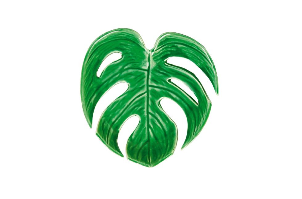 Green, Leaf, Plant, Symbol, 