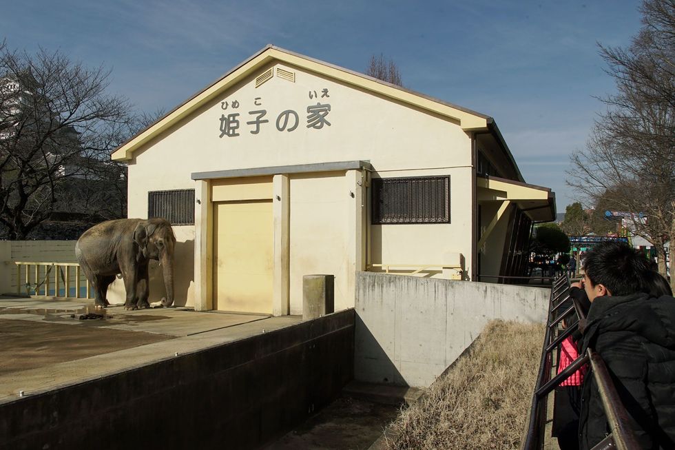 Himeko leeft al 23 jaar alleen in haar verblijf in de stadsdierentuin van Himeji