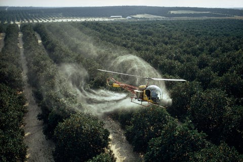 https://www.nationalgeographic.com/content/dam/environment/2019/09/environmental-victories-gallery/03-environmental-victories-facts.jpg Voordat in 1972 de Federal Environmental Pesticide Control Act in de VS werd aangenomen waren toezichthouders niet verplicht om rekening te houden met de uitwerking van pesticiden op mens en milieu Boeren als deze die een sinaasappelboomgaard besproeien met een pesticide tegen roestmijt hebben nu recht op de waarheid in advertenties voor pesticiden