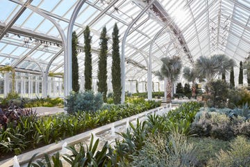 indoor greenhouse with various plants and a fountain