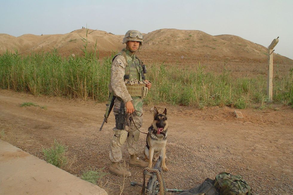 Rex overleed in 2012 een jaar nadat Dowling een boek over zijn ervaringen met de militaire hond had gepubliceerd
