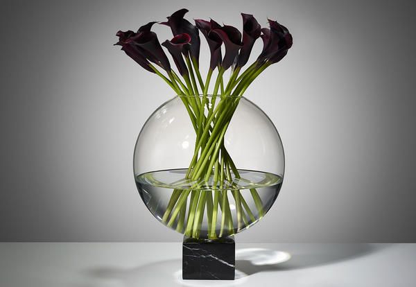 Glass, Petal, Flower, Artifact, Still life photography, Vase, Cut flowers, Transparent material, Centrepiece, Flower Arranging, 