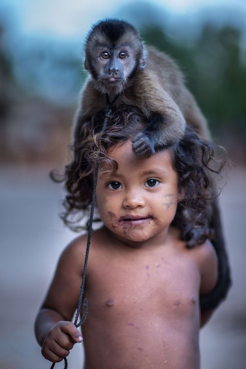 Gazielly met de kapucijnaap die haar familie als huisdier houdt Op de kleine tamarins na zaten veel van de apen die Hamilton James zag aan een touwtje hoewel ze wel vrij door het dorp mochten rondlopen Tiracambu Awgemeenschap Maranho Brazili