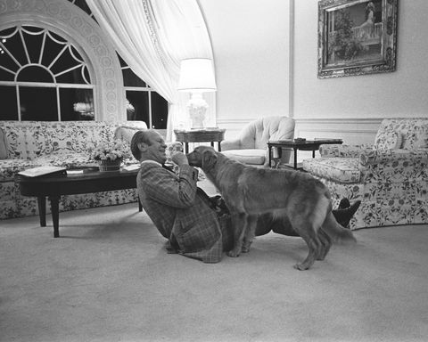 Nixons opvolger president Gerald Ford stoeit met zijn golden retriever Liberty in het Witte Huis