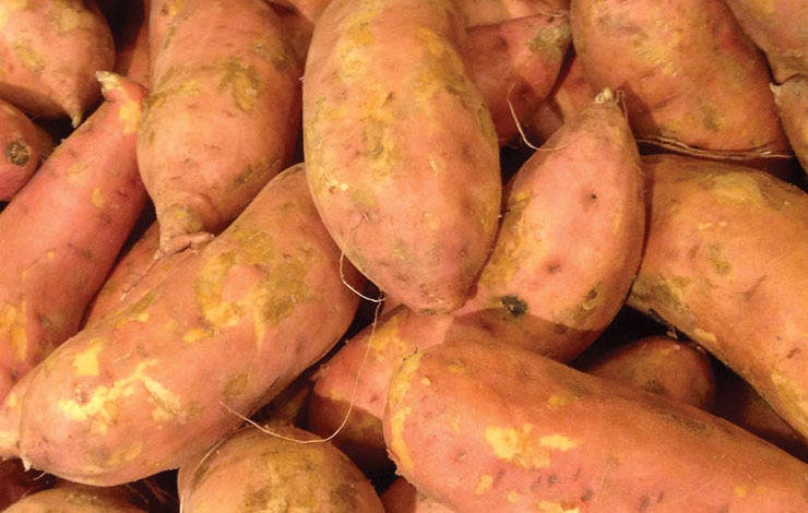 sweet potatoes