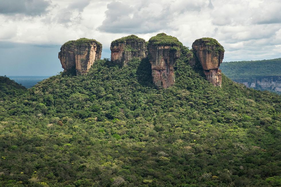 De Serrana de Chiribiquete s werelds grootste stuk tropische regenwoud dat in een nationaal park wordt beschermd werd dit jaar met ruim 12000 vierkante kilometer uitgebreid