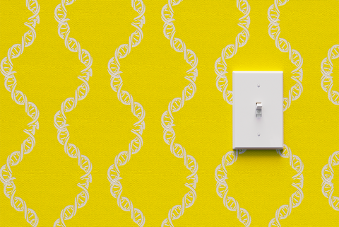 light switch over yellow wallpaper printed with dna helix