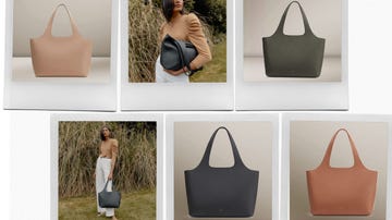 cuyana system tote