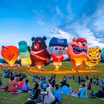 a group of people sitting on the grass with hot air balloons in the air