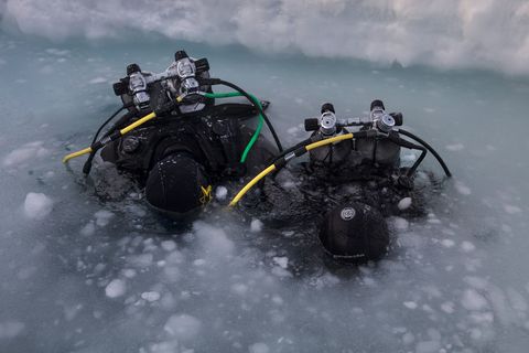Voordat ze bij Daneborg op Groenland gaan duiken testen wetenschappers hoe koud het water is Eenmaal onderwater zullen ze monsters van het zeeleven nemen waaronder larven algen en minuscule kreeftjes om die aan land nader te onderzoeken