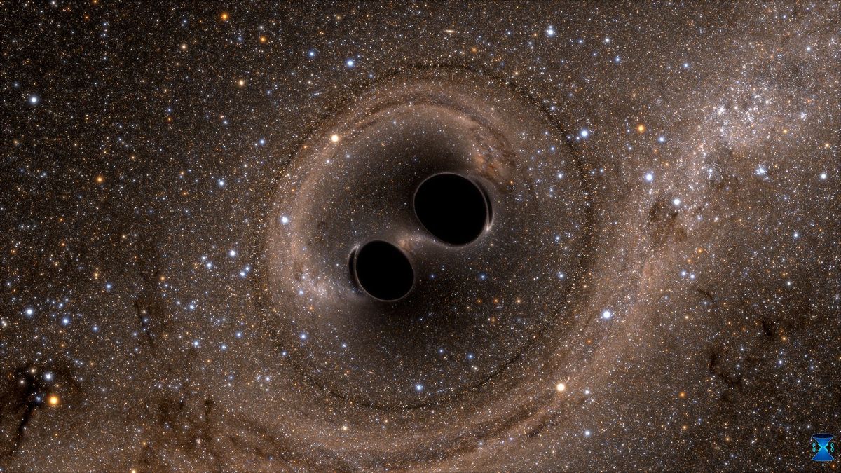 Experts hebben zwaartekrachtgolven waargenomen die zijn ontstaan uit het samengaan van twee zwarte gaten in de illustratie een gebeurtenis die z immens was dat er in de seconde voordat de gaten elkaar verslonden mr energie vrijkwam dan in de rest van het universum tezamen
