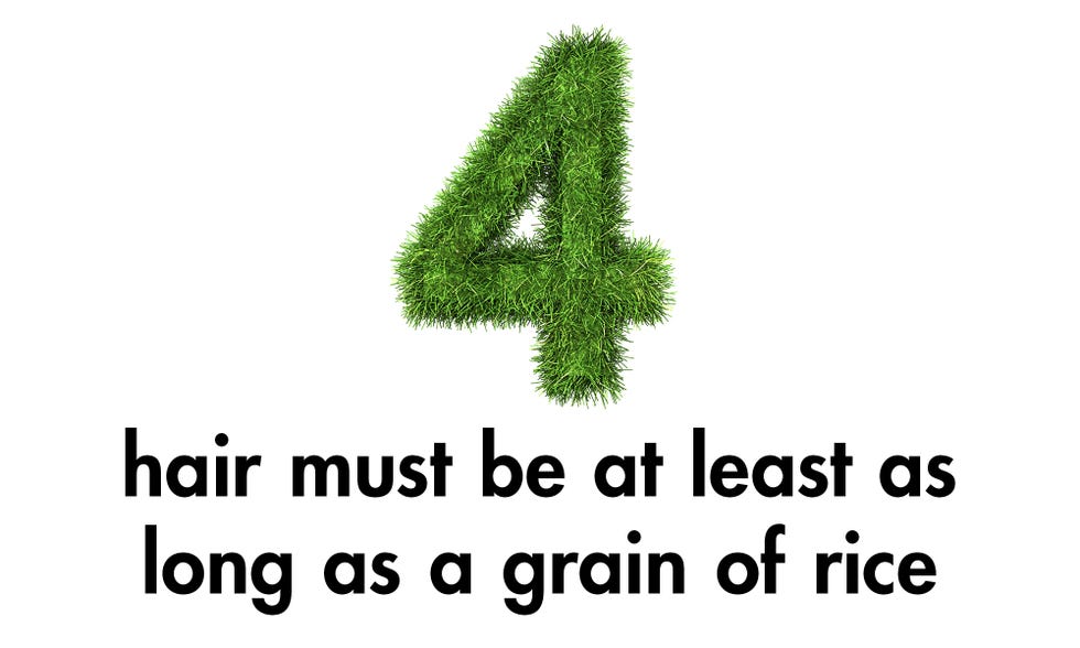 Text, Tree, Font, Plant, Grass, Logo, American larch, Number,