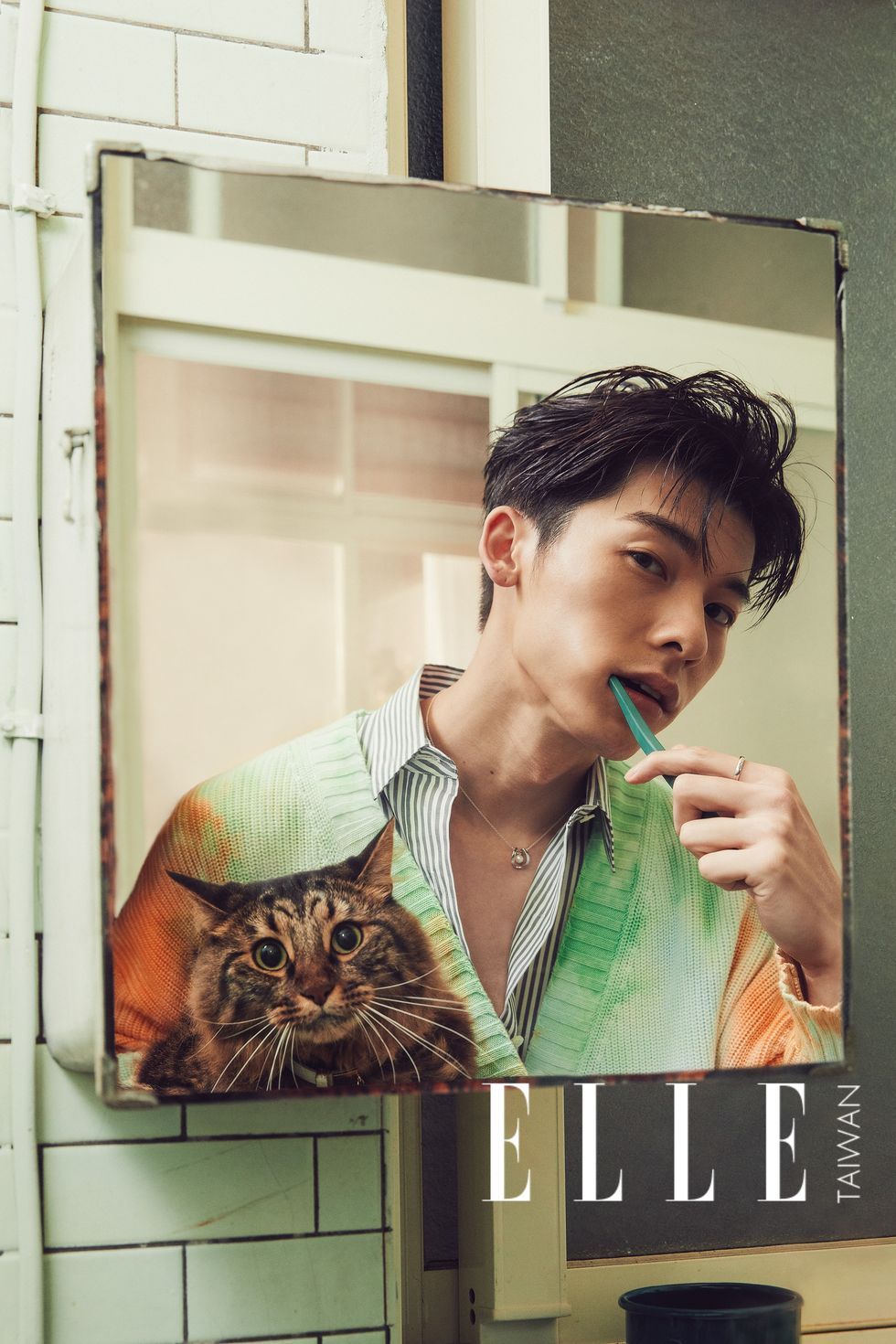 Hair, Cat, Forehead, Felidae, Whiskers, Advertising, Poster, Jaw, Small to medium-sized cats, Black hair, 