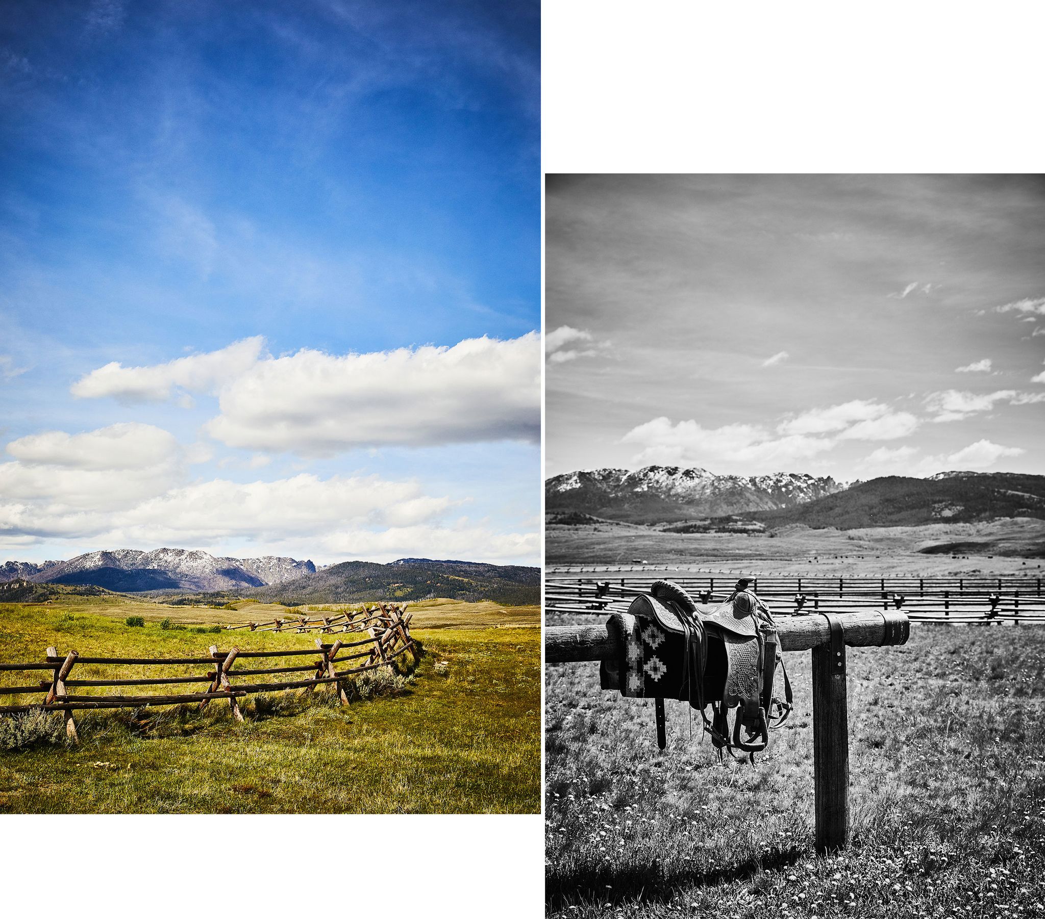Photograph, Sky, Grassland, Pasture, Cloud, Green, Yellow, Rural area, Grass, Ranch, 