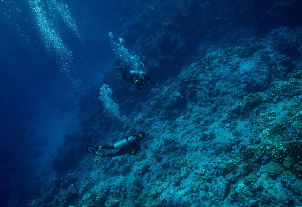 Expeditieleden Allison Fundis en Samantha Wishnak duiken in het primaire zoekgebied voor de kust van het atol Nikumaroro